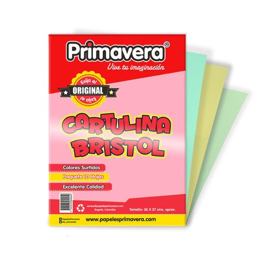 Cartulina Bristol Octavos Paq X 10 Und