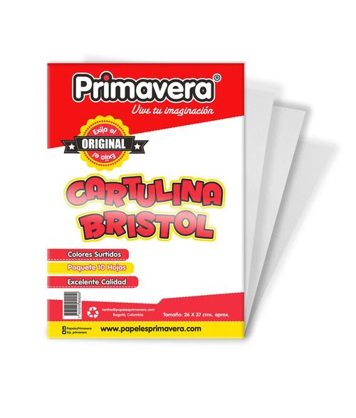 Cartulina Bristol Octavos Paq X 10 Und Blanco