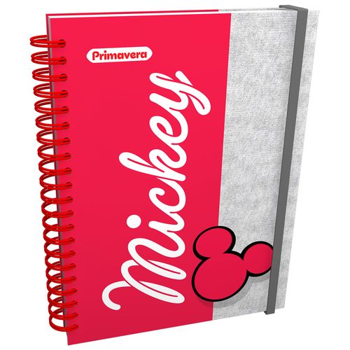 Planeador  Mickey Mouse Style